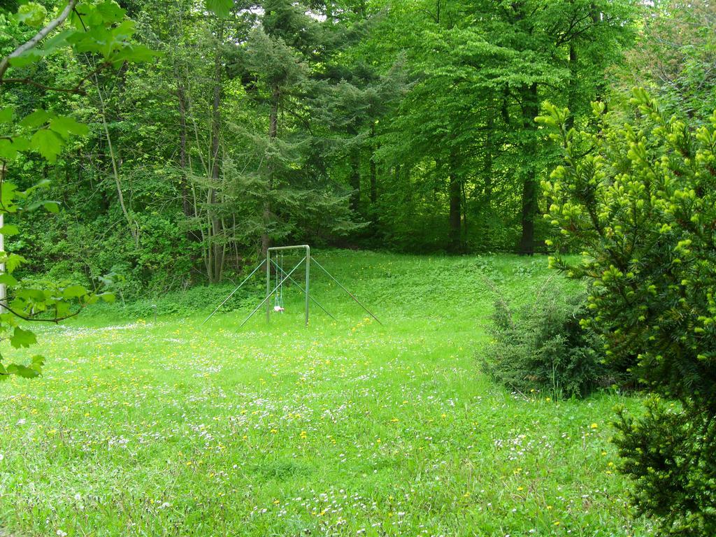 Motel Zur Festwiese Gierstädt Extérieur photo